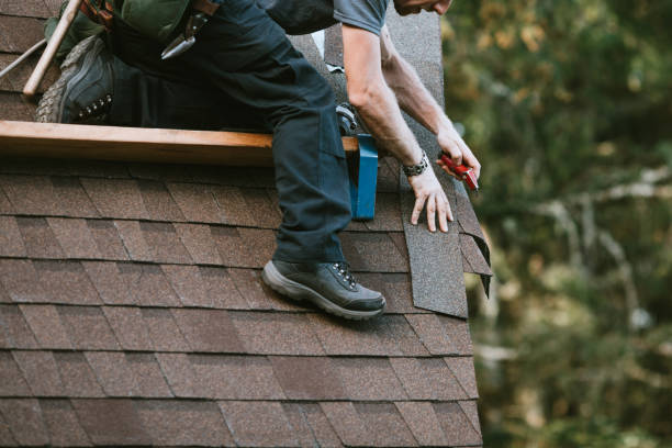 Roof Gutter Cleaning in Buckeye, AZ